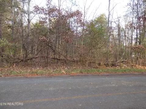 Cove Lane, Baneberry, TN 37890