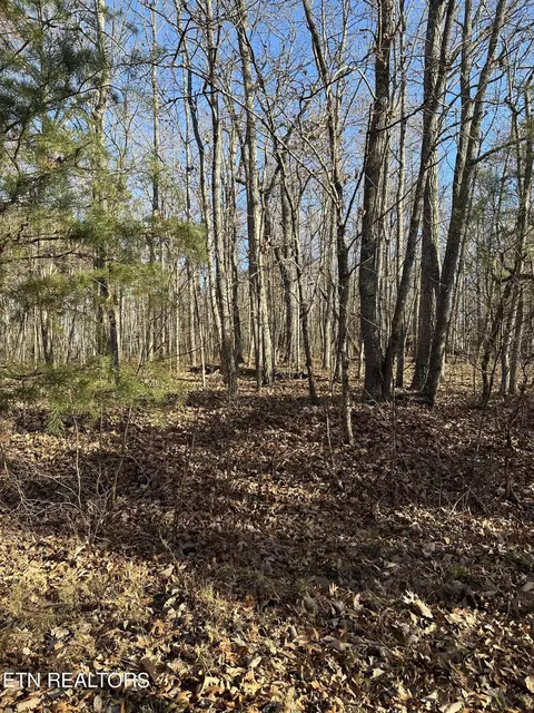247 Albemarle Cir, Crossville, TN 38558