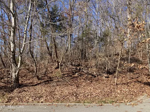 6402 Spring View Ln, Knoxville, TN 37918