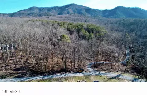 1620 Ponderosa Rd, Del Rio, TN 37727