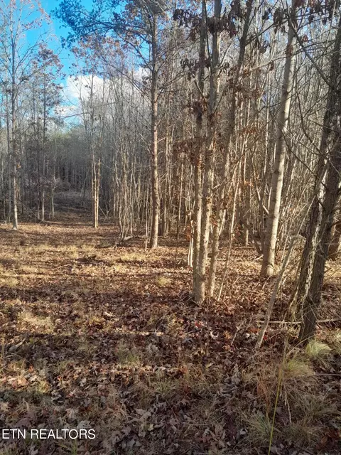 Meadow Lane, Spencer, TN 38585