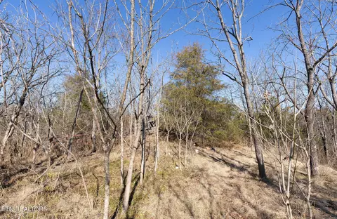 176 Moulton Rd, Fall Branch, TN 37656 photo 25