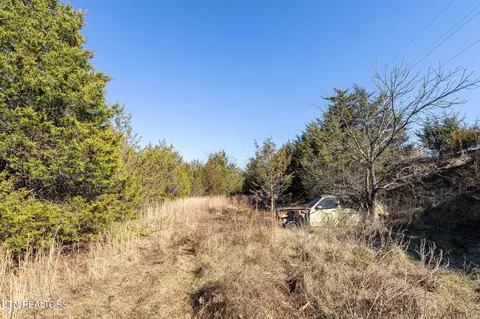 176 Moulton Rd, Fall Branch, TN 37656 photo 22