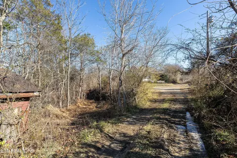 176 Moulton Rd, Fall Branch, TN 37656 photo 19