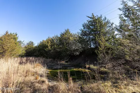 176 Moulton Rd, Fall Branch, TN 37656 photo 23