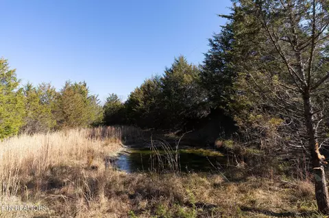 176 Moulton Rd, Fall Branch, TN 37656 photo 24