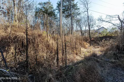 176 Moulton Rd, Fall Branch, TN 37656 photo 20