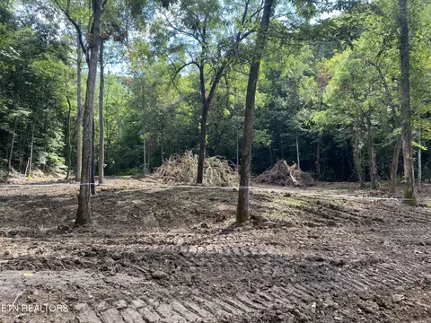 Lot #16 Stanley Creek Rd, Oneida, TN 37841
