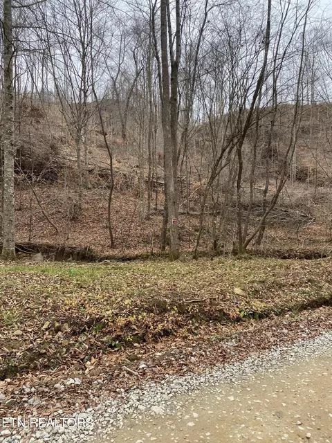 17 Stanley Street, Oneida, TN 37841