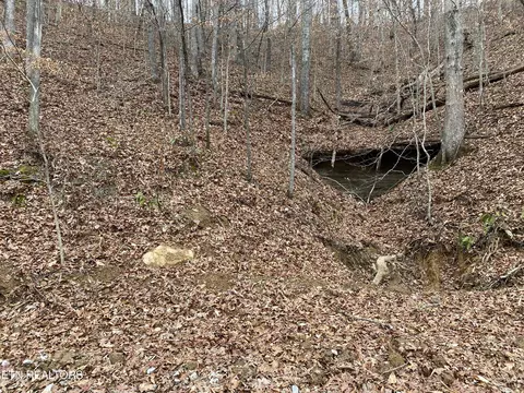 Lot #9 Stanley Creek Rd, Oneida, TN 37841