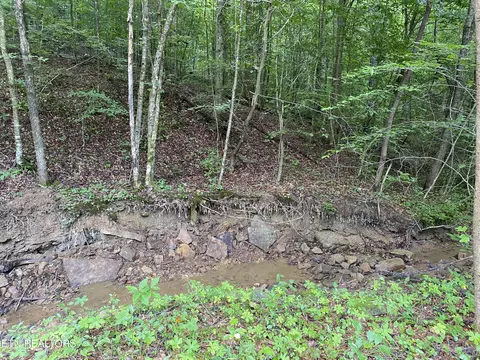 Lot #10 Stanley Creek Rd, Oneida, TN 37841