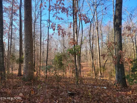 15 73 Ac Clifton Cemetery Rd, Spring City, TN 37381