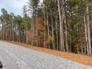 458 Cody Ln, Madisonville, TN 37354