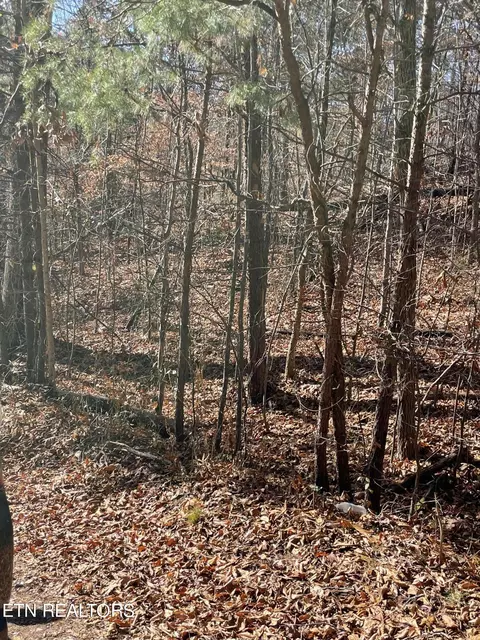Hurley Way, Dandridge, TN 37725