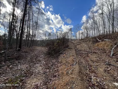 Coleman Lane, Powell, TN 37849