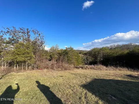 389 Cedar Glen Way, Bybee, TN 37713 photo 6