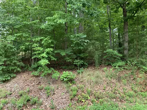 11966 E Watkins Rd, Loudon, TN 37774