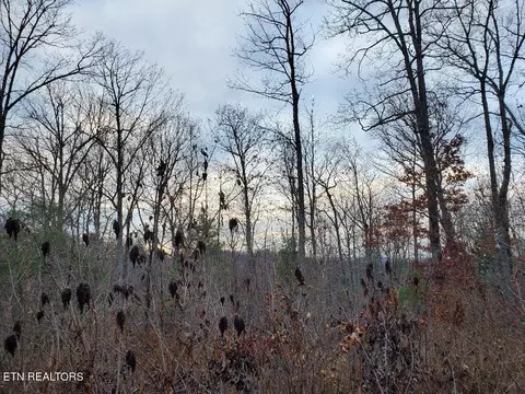 Forest Lane, Oneida, TN 37841 photo 3