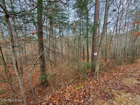 Forest Lane, Oneida, TN 37841 photo 5