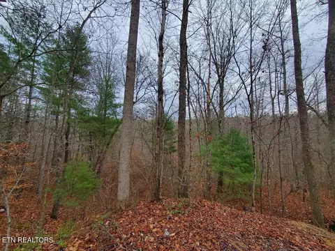 Forest Lane, Oneida, TN 37841 photo 4