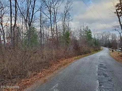 Forest Lane, Oneida, TN 37841 photo 6