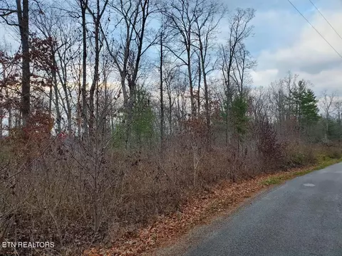Forest Lane, Oneida, TN 37841 photo 8