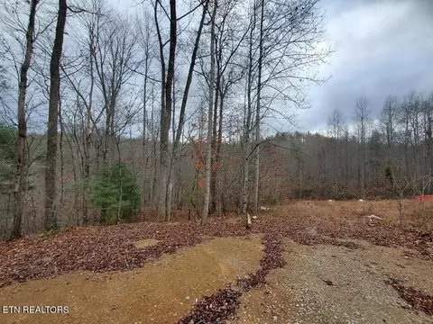 Forest Lane, Oneida, TN 37841