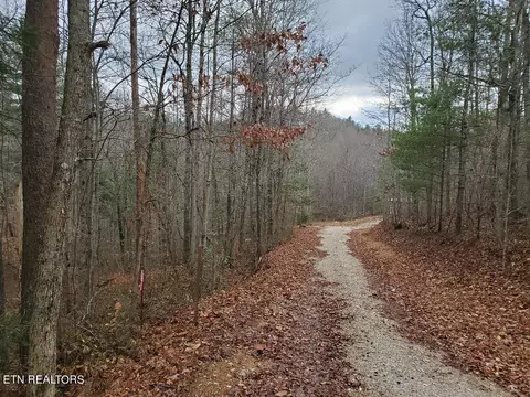 Forest Lane, Oneida, TN 37841 photo 2