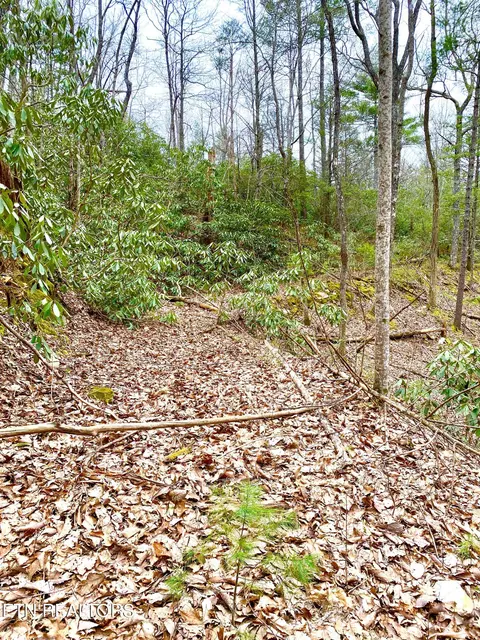 Rivendell Lane, Tellico Plains, TN 37385