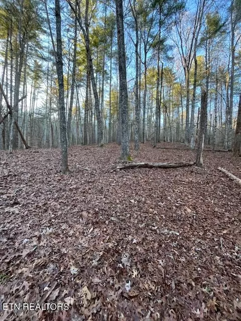 Overlook View Rd, Walland, TN 37886