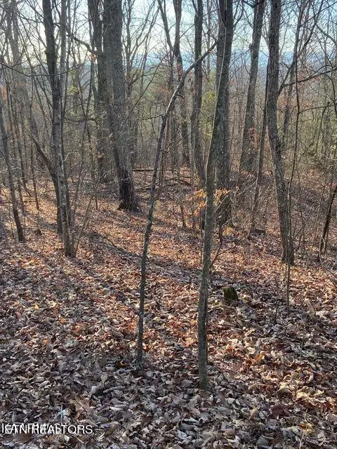 Tract 3 Tomotley Rd., Maryville, TN 37801