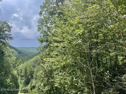 0 Henry Town Rd Off, Sevierville, TN 37876