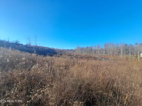 Pine Creek Rd, Oneida, TN 37841 photo 2