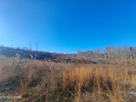 Pine Creek Rd, Oneida, TN 37841 photo 4
