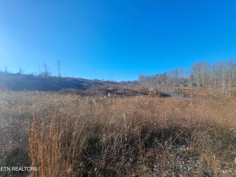 Pine Creek Rd, Oneida, TN 37841 photo 3