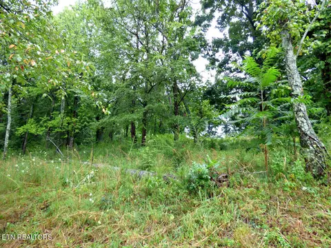 Lot 37 Stonehenge Way, Dandridge, TN 37725