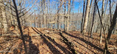 206 Stoney Rock Ln, Jacksboro, TN 37757