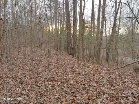 10702 S Nopone Valley Rd, Decatur, TN 37322