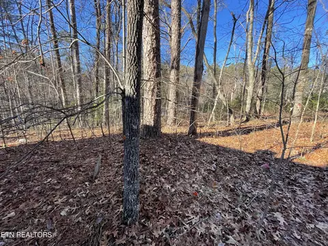 27 Tall Pine Circle, Tellico Plains, TN 37385