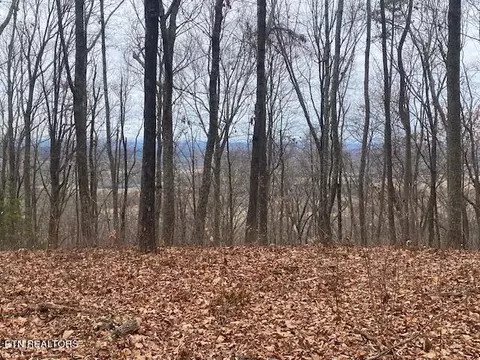 5 5 Acres Off County Road 875, Etowah, TN 37331