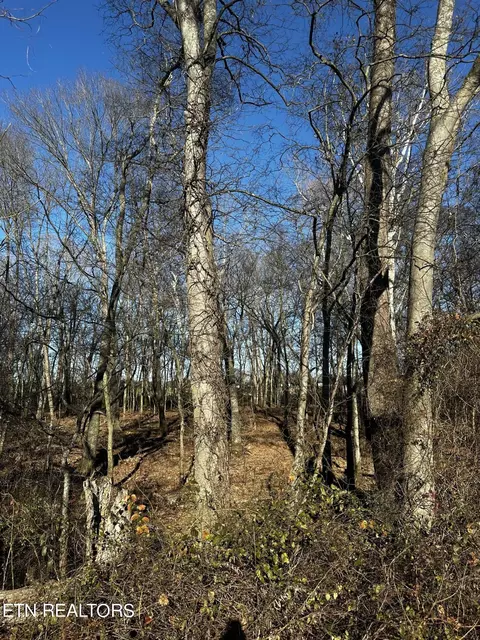 Aedc Rd, Decherd, TN 37324 photo 9