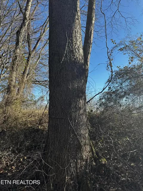 Aedc Rd, Decherd, TN 37324 photo 13