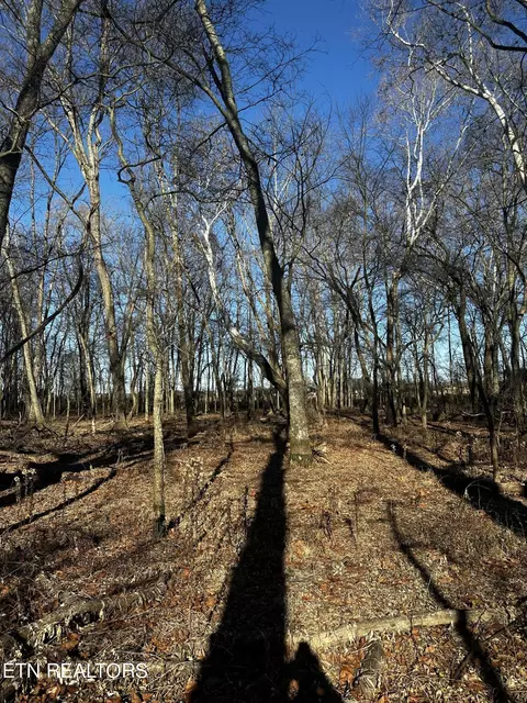 Aedc Rd, Decherd, TN 37324 photo 11