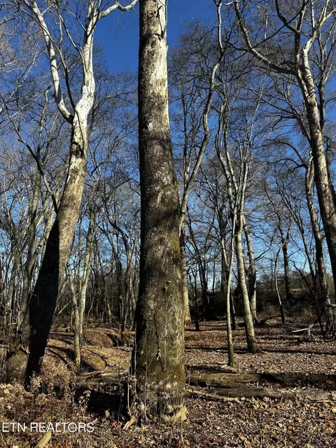 Aedc Rd, Decherd, TN 37324 photo 14