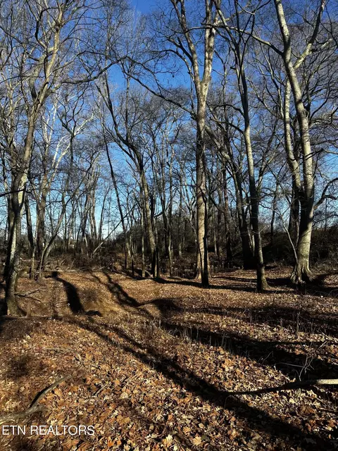 Aedc Rd, Decherd, TN 37324 photo 16