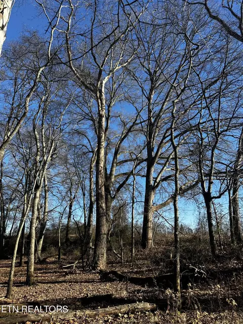 Aedc Rd, Decherd, TN 37324 photo 15