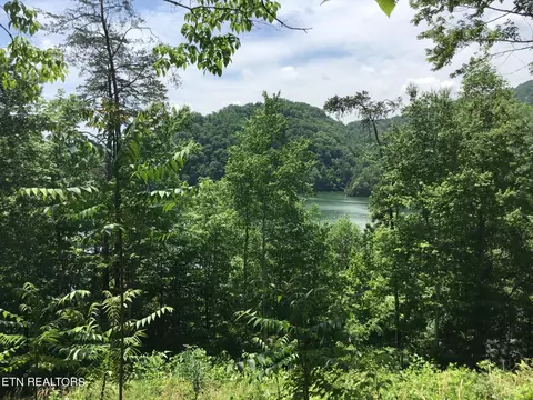 lot880 Fellowship Ln, New Tazewell, TN 37825