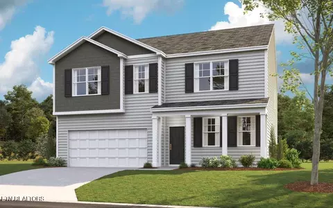 9440 River Cane Rd, Mascot, TN 37806