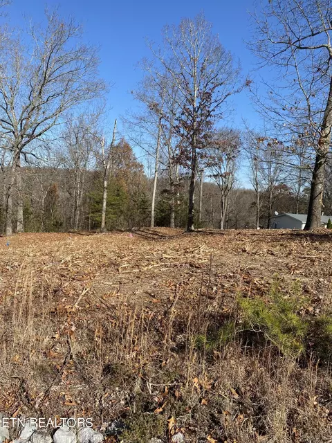 107 Grey Dove Ln, Powell, TN 37849