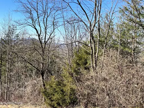 Sharp Rd, Sevierville, TN 37876 photo 13